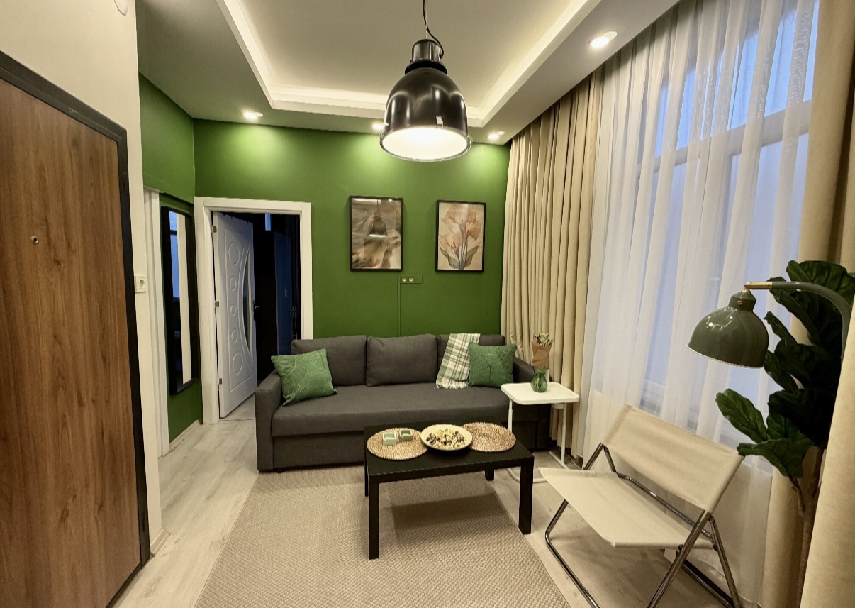 1+1 Daire Oturma Odası 2